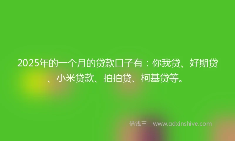 2025年的一个月的贷款口子有：你我贷、好期贷、小米贷款、拍拍贷、柯基贷等。