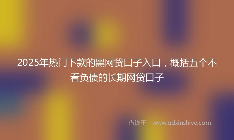 2025年热门下款的黑网贷口子入口，概括五个不看负债的长期网贷口子