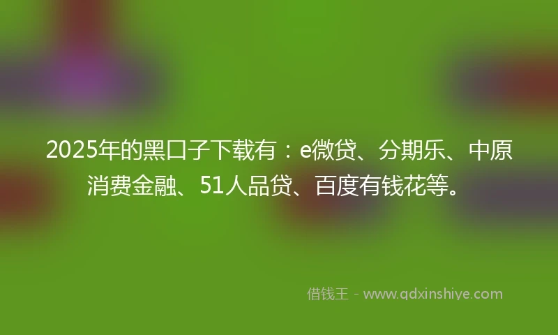 2025年的黑口子下载有：e微贷、分期乐、中原消费金融、51人品贷、百度有钱花等。