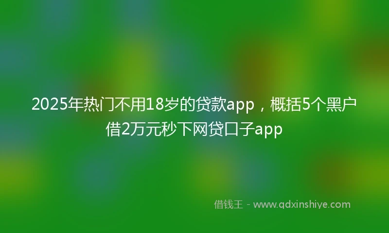 2025年热门不用18岁的贷款app，概括5个黑户借2万元秒下网贷口子app