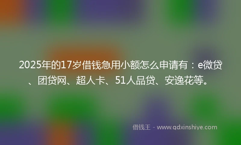 2025年的17岁借钱急用小额怎么申请有：e微贷、团贷网、超人卡、51人品贷、安逸花等。
