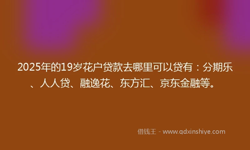 2025年的19岁花户贷款去哪里可以贷有：分期乐、人人贷、融逸花、东方汇、京东金融等。