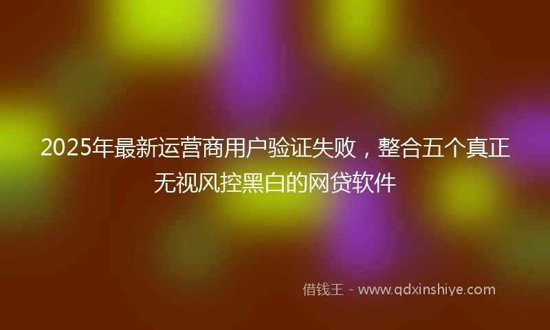 2025年最新运营商用户验证失败，整合五个真正无视风控黑白的网贷软件
