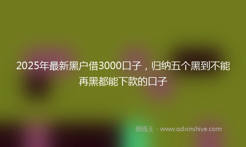 2025年最新黑户借3000口子，归纳五个黑到不能再黑都能下款的口子