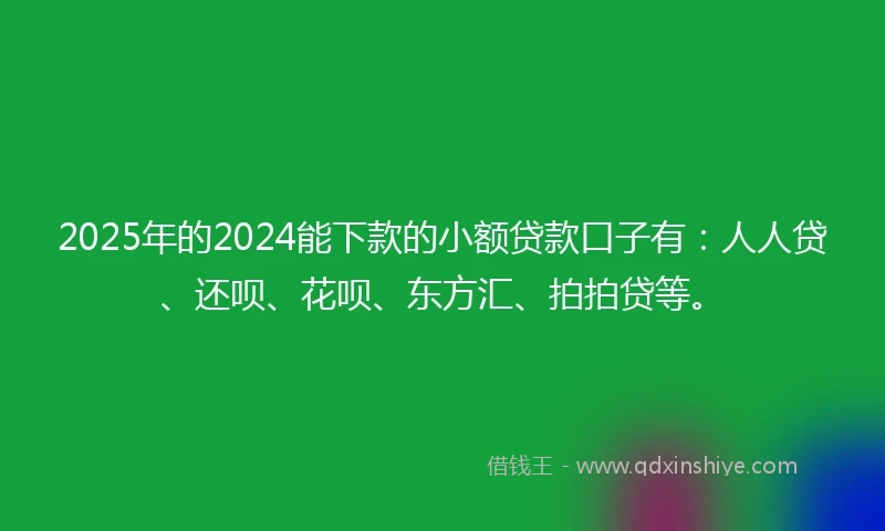 2025年的2024能下款的小额贷款口子有：人人贷、还呗、花呗、东方汇、拍拍贷等。