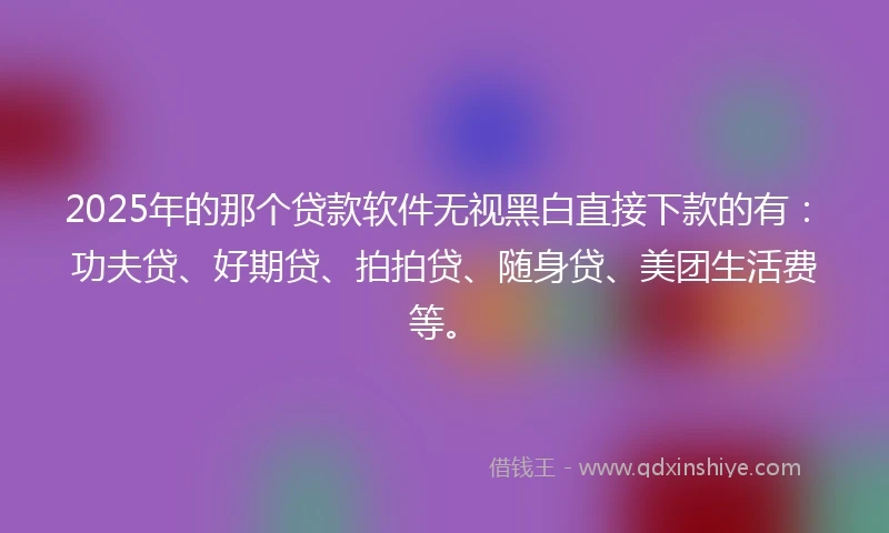 2025年的那个贷款软件无视黑白直接下款的有：功夫贷、好期贷、拍拍贷、随身贷、美团生活费等。