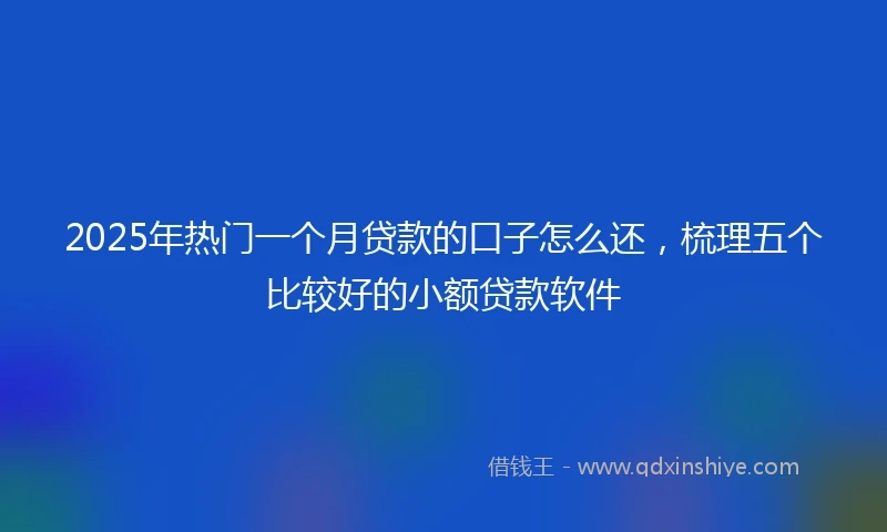 2025年热门一个月贷款的口子怎么还，梳理五个比较好的小额贷款软件