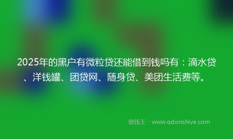 2025年的黑户有微粒贷还能借到钱吗有：滴水贷、洋钱罐、团贷网、随身贷、美团生活费等。