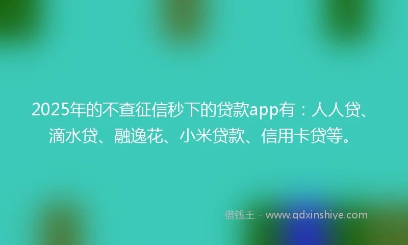2025年的不查征信秒下的贷款app有：人人贷、滴水贷、融逸花、小米贷款、信用卡贷等。