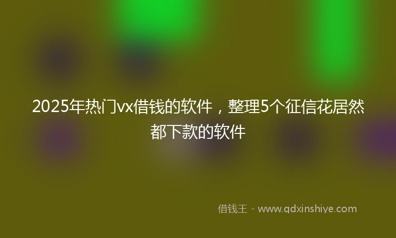 2025年热门vx借钱的软件，整理5个征信花居然都下款的软件