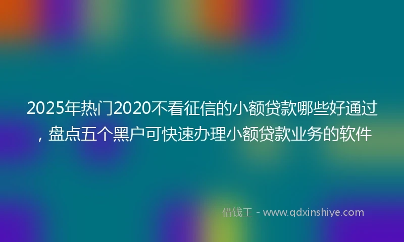 2025年热门2020不看征信的小额贷款哪些好通过，盘点五个黑户可快速办理小额贷款业务的软件