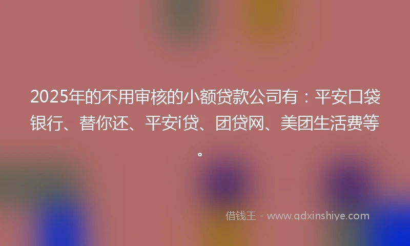 2025年的不用审核的小额贷款公司有：平安口袋银行、替你还、平安i贷、团贷网、美团生活费等。