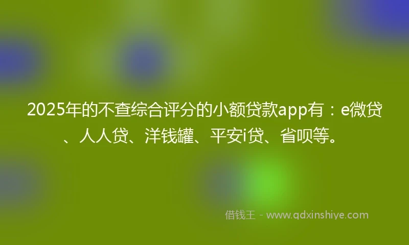 2025年的不查综合评分的小额贷款app有：e微贷、人人贷、洋钱罐、平安i贷、省呗等。