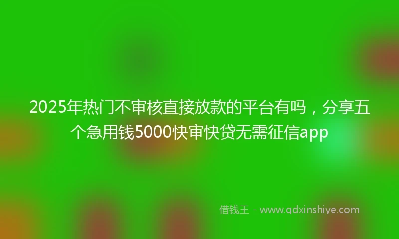 2025年热门不审核直接放款的平台有吗，分享五个急用钱5000快审快贷无需征信app