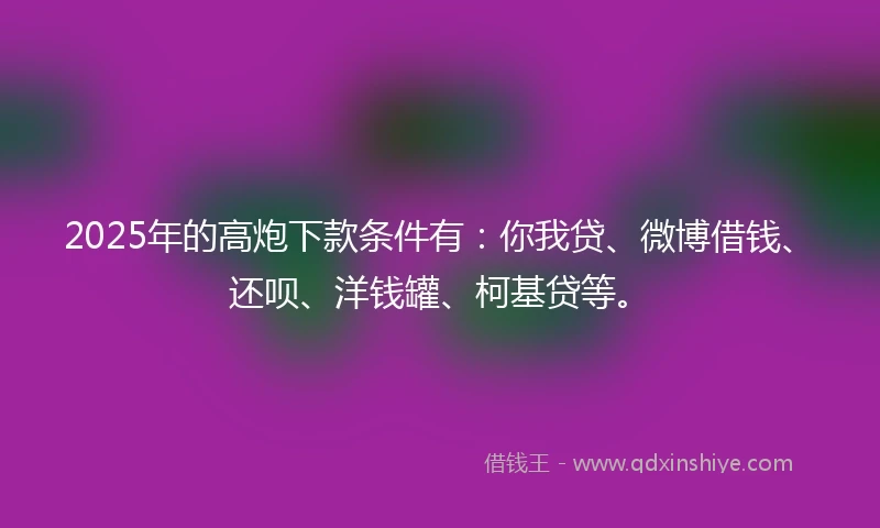 2025年的高炮下款条件有：你我贷、微博借钱、还呗、洋钱罐、柯基贷等。