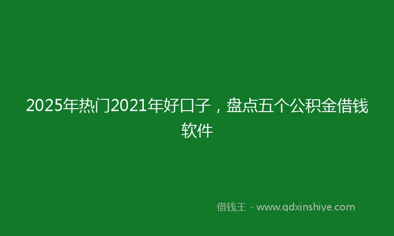 2025年热门2021年好口子，盘点五个公积金借钱软件
