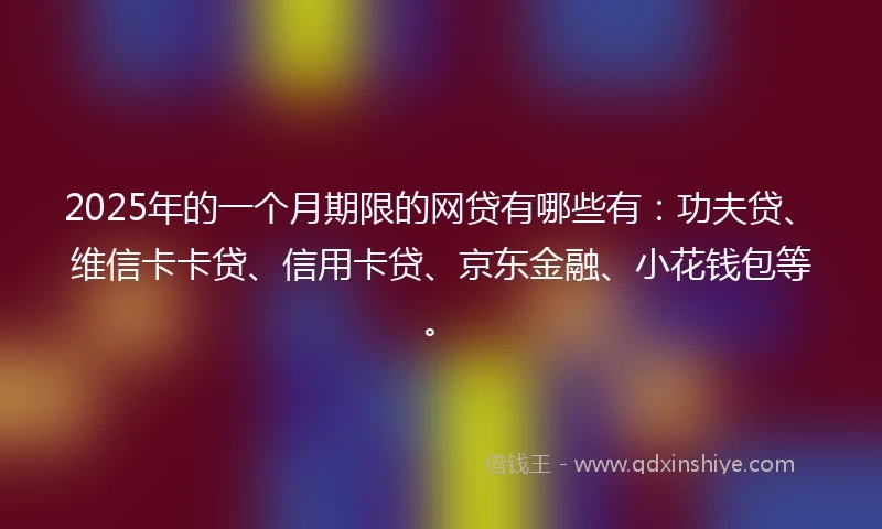 2025年的一个月期限的网贷有哪些有：功夫贷、维信卡卡贷、信用卡贷、京东金融、小花钱包等。