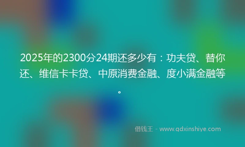 2025年的2300分24期还多少有：功夫贷、替你还、维信卡卡贷、中原消费金融、度小满金融等。