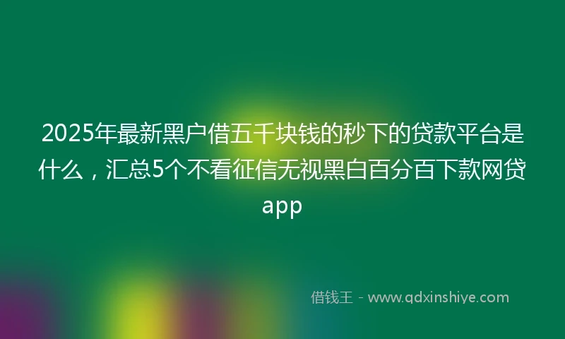 2025年最新黑户借五千块钱的秒下的贷款平台是什么，汇总5个不看征信无视黑白百分百下款网贷app