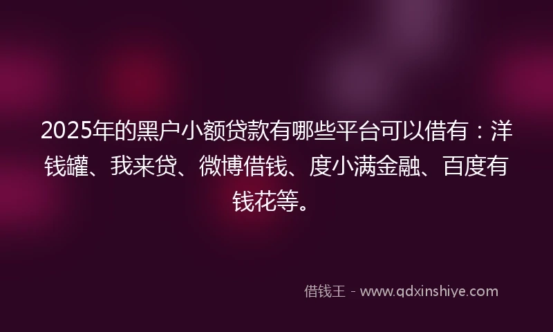 2025年的黑户小额贷款有哪些平台可以借有：洋钱罐、我来贷、微博借钱、度小满金融、百度有钱花等。