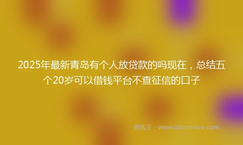 2025年最新青岛有个人放贷款的吗现在，总结五个20岁可以借钱平台不查征信的口子
