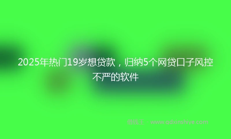 2025年热门19岁想贷款，归纳5个网贷口子风控不严的软件