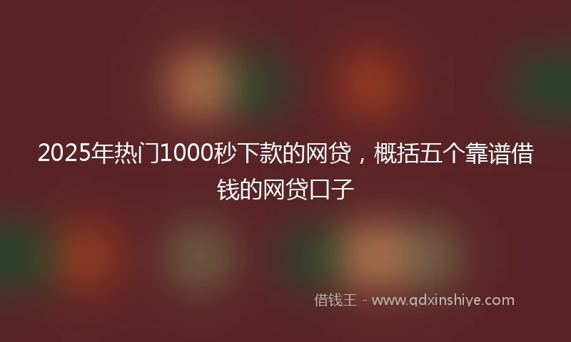 2025年热门1000秒下款的网贷，概括五个靠谱借钱的网贷口子