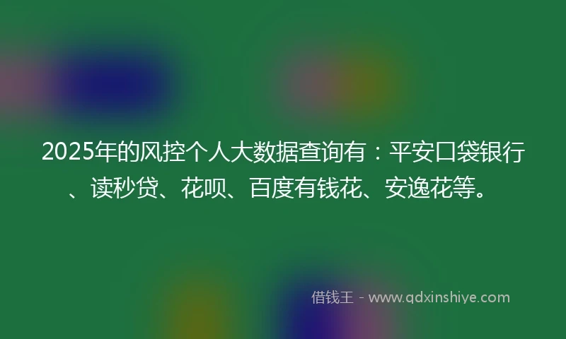 2025年的风控个人大数据查询有：平安口袋银行、读秒贷、花呗、百度有钱花、安逸花等。