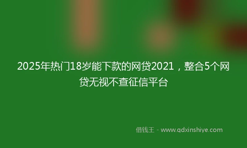 2025年热门18岁能下款的网贷2021，整合5个网贷无视不查征信平台