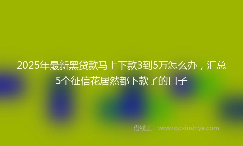 2025年最新黑贷款马上下款3到5万怎么办，汇总5个征信花居然都下款了的口子