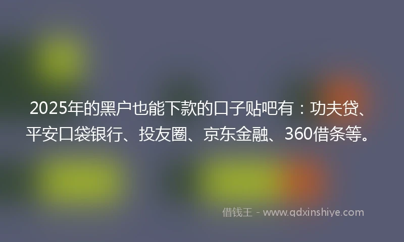 2025年的黑户也能下款的口子贴吧有：功夫贷、平安口袋银行、投友圈、京东金融、360借条等。