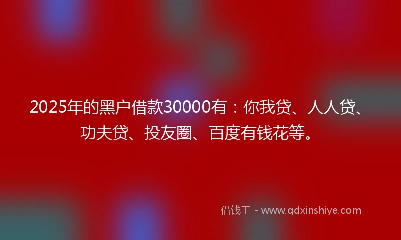 2025年的黑户借款30000有：你我贷、人人贷、功夫贷、投友圈、百度有钱花等。