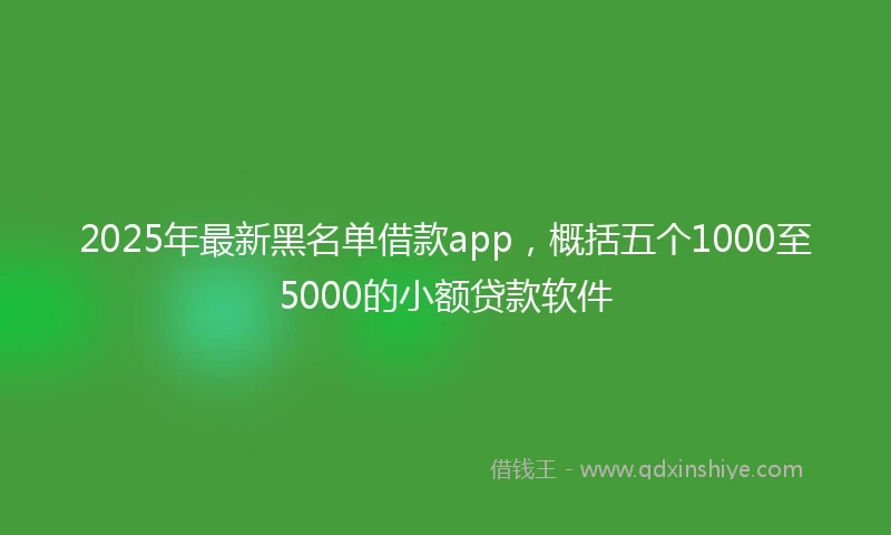 2025年最新黑名单借款app，概括五个1000至5000的小额贷款软件