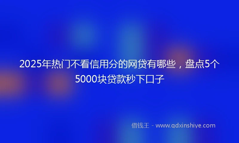 2025年热门不看信用分的网贷有哪些，盘点5个5000块贷款秒下口子