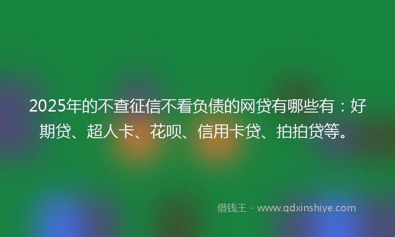 2025年的不查征信不看负债的网贷有哪些有：好期贷、超人卡、花呗、信用卡贷、拍拍贷等。