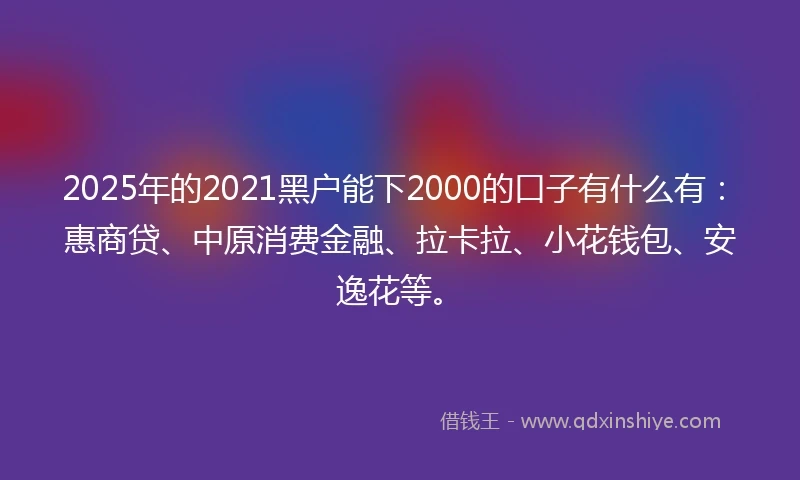 2025年的2021黑户能下2000的口子有什么有：惠商贷、中原消费金融、拉卡拉、小花钱包、安逸花等。