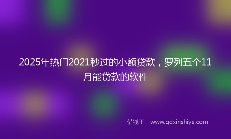2025年热门2021秒过的小额贷款，罗列五个11月能贷款的软件
