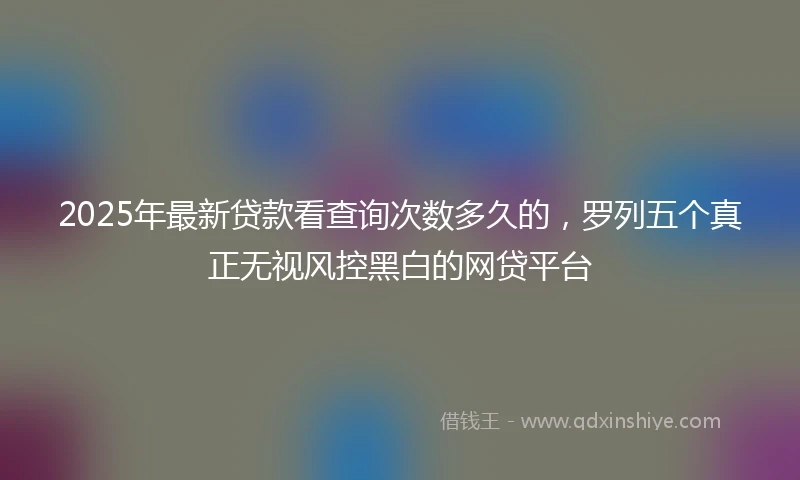 2025年最新贷款看查询次数多久的，罗列五个真正无视风控黑白的网贷平台