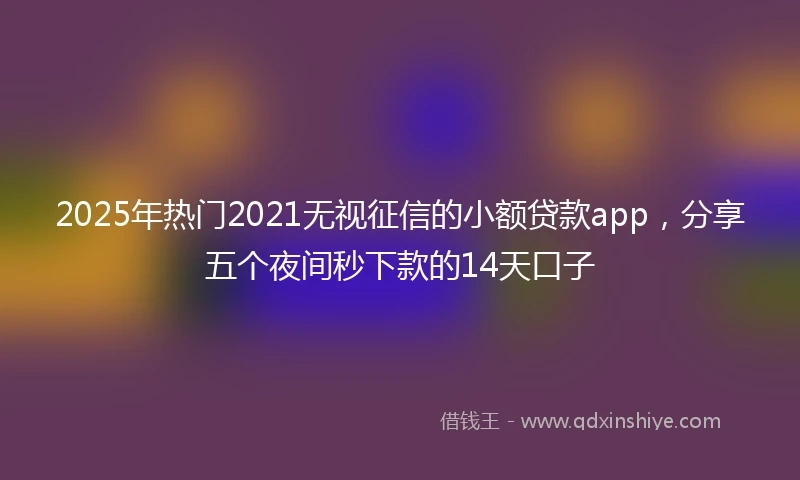 2025年热门2021无视征信的小额贷款app，分享五个夜间秒下款的14天口子