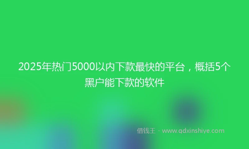 2025年热门5000以内下款最快的平台，概括5个黑户能下款的软件