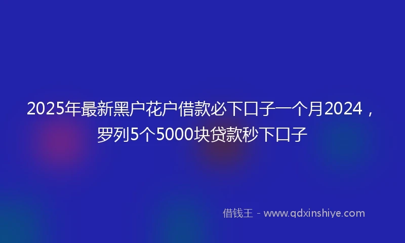 2025年最新黑户花户借款必下口子一个月2024，罗列5个5000块贷款秒下口子