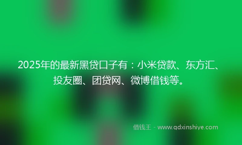 2025年的最新黑贷口子有：小米贷款、东方汇、投友圈、团贷网、微博借钱等。