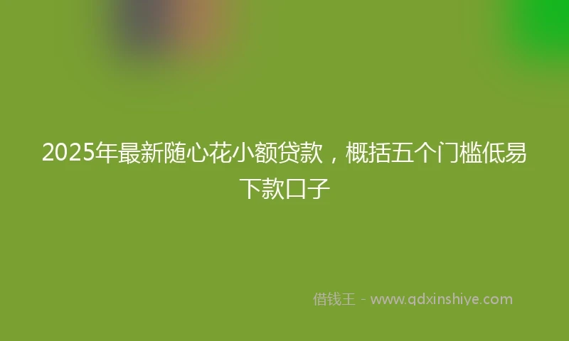 2025年最新随心花小额贷款，概括五个门槛低易下款口子