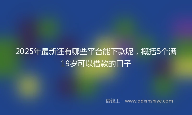 2025年最新还有哪些平台能下款呢，概括5个满19岁可以借款的口子
