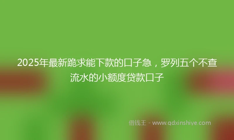 2025年最新跪求能下款的口子急，罗列五个不查流水的小额度贷款口子