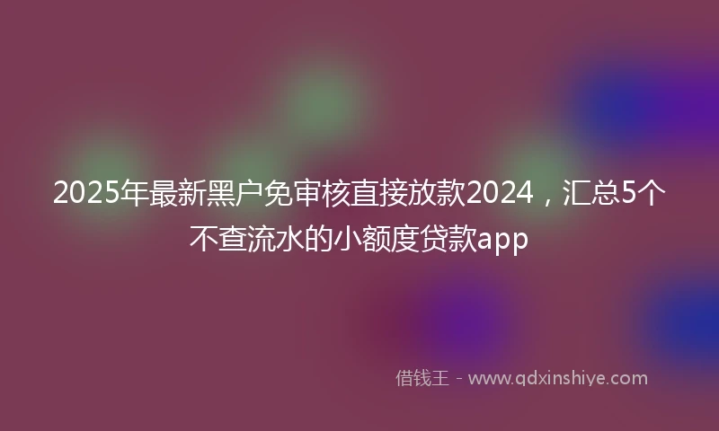 2025年最新黑户免审核直接放款2024，汇总5个不查流水的小额度贷款app