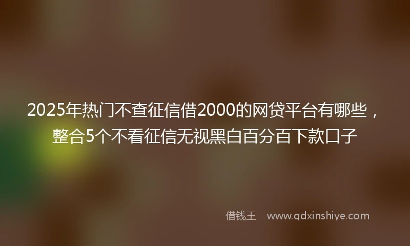 2025年热门不查征信借2000的网贷平台有哪些，整合5个不看征信无视黑白百分百下款口子