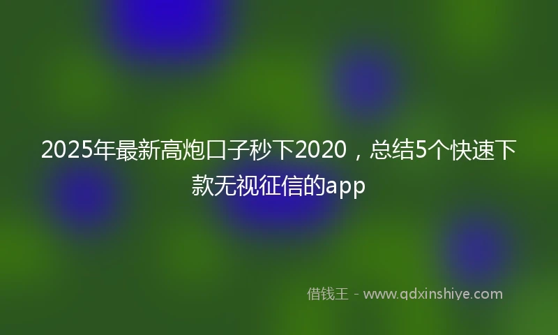 2025年最新高炮口子秒下2020，总结5个快速下款无视征信的app