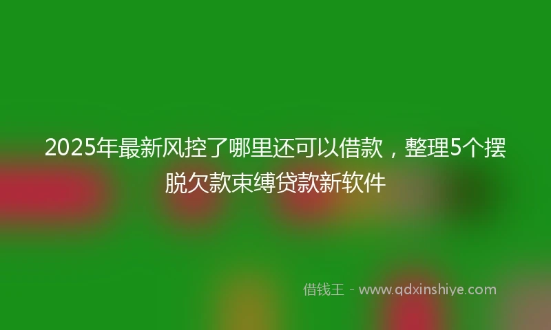 2025年最新风控了哪里还可以借款，整理5个摆脱欠款束缚贷款新软件