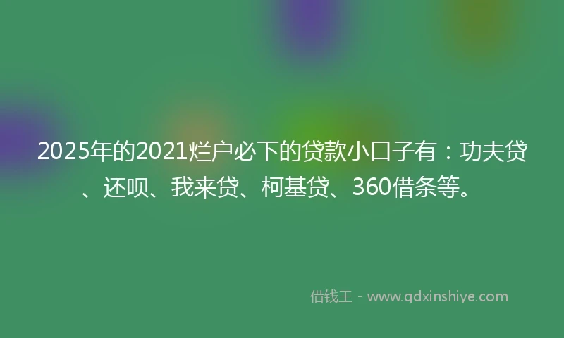 2025年的2021烂户必下的贷款小口子有：功夫贷、还呗、我来贷、柯基贷、360借条等。